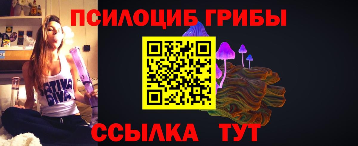 даркнет сайт  Вход с VPN  Муравленко  Галлюциногенные грибы Psilocybine cubensis 